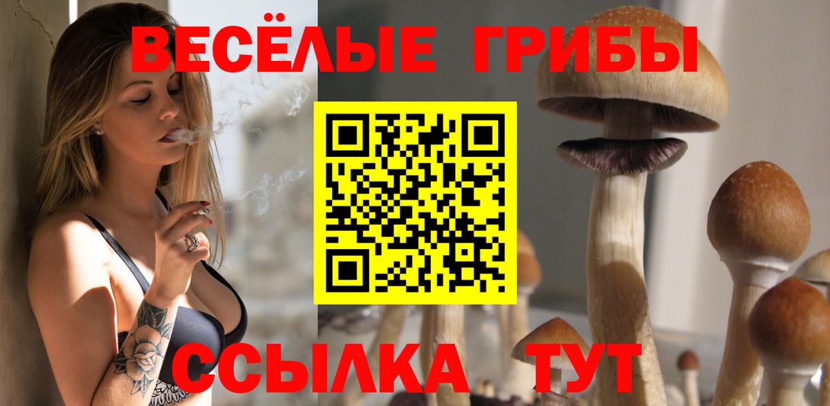 Красноярск  Галлюциногенные грибы Cubensis  Вход с VPN  Галлюциногенные грибы GOLDEN TEACHER 